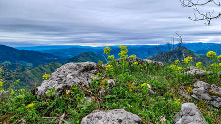 Scenic view from summit of mount Roethelstein near Mixnitz in Styria, Austria. Small alpine meadow...