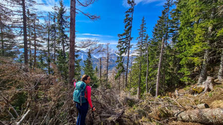 A woman with backpack with scenic view of snow capped mountain peaks of Karawanks near Sinacher Gupf in Carinthia, Austria. Mount Wertatscha visible through dense forest in spring. Rosental sunny dayの写真素材
