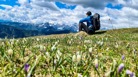 Man relaxing in a field of pink and white crocus with a panoramic view on mountain peaks in early...