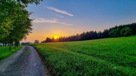 Hiking trail in early morning haze in the Karawanks in Carinthia, Austrian Alps. Narrow road leading to high mountains through a meadow. Borders Austria, Slovenia, Italy. Sky is pink. Daybreak.Sunriseの写真素材