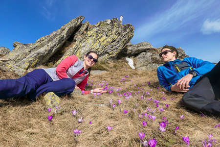 A couple lying on the golden pasture, surrounded by purple crocuses in the region of Sauofen in Austrian Alps. Spring on Alpine meadows. There is a sharp stony wall behind them. Happiness and loveの写真素材