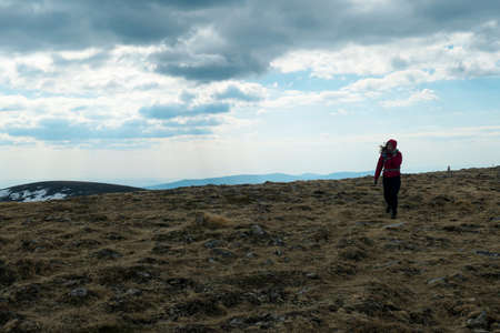 A woman hiking to the top of Ameringkogel in Austrian Alps. The vast pasture is golden. There are...