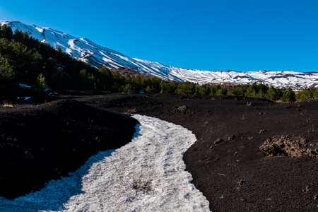 Snow covered hiking trail leading to the summit of volcano mount Etna, in Sicily, Italy, Europe. Pine trees growing on dark volcanic sand on bare terrain. Solidified lava, ash, pumice on crater slopesの写真素材