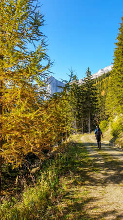 A panoramic capture of a man hiking through the forest in Hochschwab region in Austrian Alps. The...