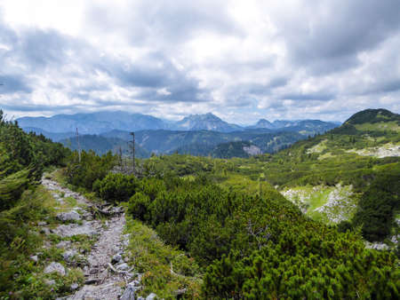 A narrow, stony pathway between the swiss pine trees overgrowing the mountain slopes of Hochschwab...