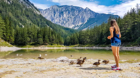 A woman in shorts feeding a flock of wild ducks at the shore of Green Lake in an Alpine valley in Austria. Spring in the valley. The ducks curiously discover the area. High mountain range in the backの写真素材