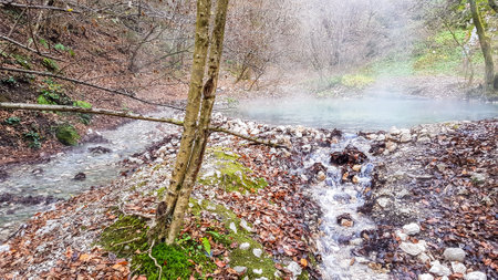 A natural thermic spring in Maibachl, Austria during autumn. The thermic pool is located in the middle of the forest. Healing power of natural water. The steam rises above the water. Relaxationの写真素材
