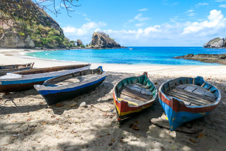 A row of colorful boats parked on a shore of idyllic Koka Beach in Flores, Indonesia. The boats are lined up under the trees, in the shade. There are some cliffs in the back. Hidden gem of Indonesia.の写真素材