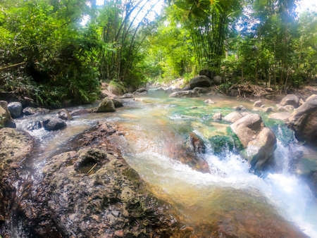 A hot spring merging with cold river creating a perfect temperature of water for a swim in Bajawa, Flores, Indonesia. Banks of the river are overgrown with trees. A lot of moss on the bottomの写真素材