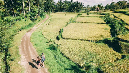 A drone shot of a couple walking on a gravelled road along a long stretching rice fields in Tetebatu, Lombok, Indonesia. Endless rice paddies are separated with pathways. Forrest on the side.の写真素材