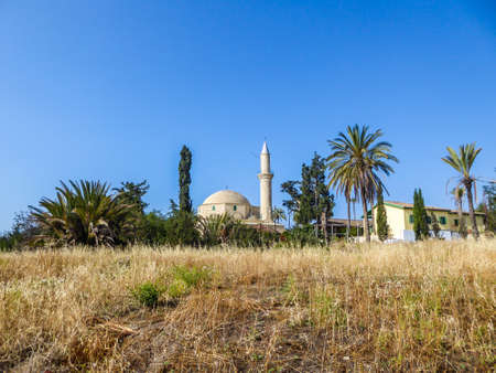 Hala Sultan Tekke seen from a distance. The mosque is surrounded by lush setting - palm trees and smaller bushes. Mosque is located at the shore of the Larnaca salt lake. Cloudless sky.の写真素材