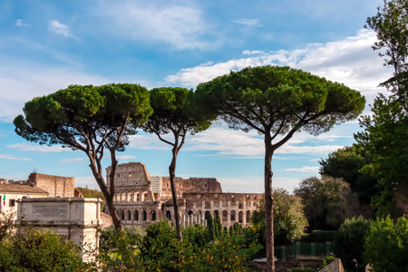 Panoramic view from Palatine hill on exterior facade of famous Colosseum (Coloseo) of city of Rome, Lazio, Italy, Europe.の写真素材