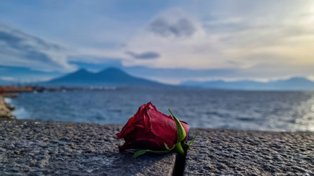 Selective soft focus on a dry red rose lying on a wall at the port in Naples in Italy, Campania, Italy, Europe. Blurred panoramic view on volcano Mount Vesuvius. Walking along the promenade in Napoliの写真素材