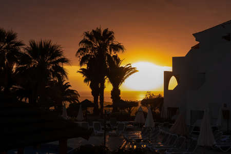 Beautiful colorful sunset sky with silhouette palm trees and resort lounge chairs on Costa Adeje, Tenerife, Canary Islands, Spain, Europe, EU. Vacation vibes on touristic island in the Atlantic Oceanの写真素材