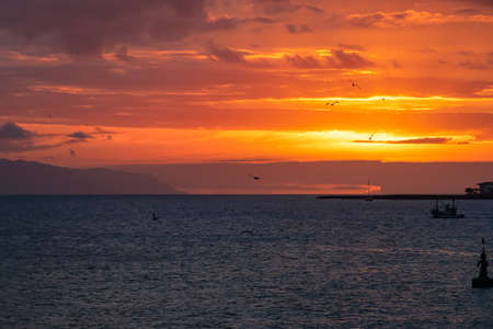 Romantic sunset seen from lookout Cypelek Los Cristianos, Tenerife, Canary Islands, Spain, Europe. Silhouette of birds entering frame. Fishermen boat on the way to Island of La Gomera in the distanceの写真素材