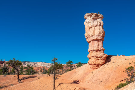 Scenic view on massive hoodoo sandstone rock formation on Fairyland hiking trail in Bryce Canyon National Park, Utah, USA. Single pine trees along the way. Unique nature and beautiful landscape. Aweの写真素材