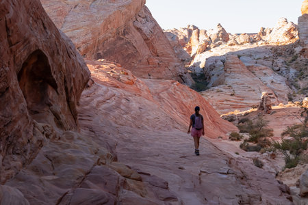 Woman with scenic sunrise view of arid landscape with striated red and white rock formations along the White Domes Hiking Trail in Valley of Fire State Park in Mojave desert, Overton, Nevada, USAの写真素材