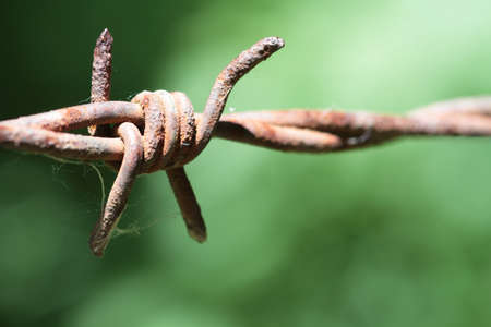 Barbed Wireの写真素材