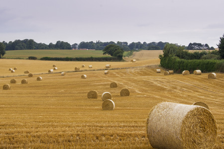 Straw bales in a farm fieldの写真素材