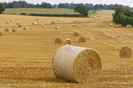 Straw bales in a farm fieldの写真素材