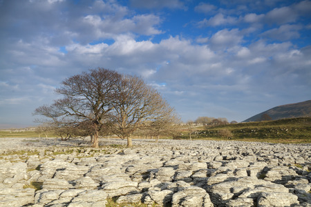 Limestone Pavement at Ingleborough in the yorkshire dalesの写真素材
