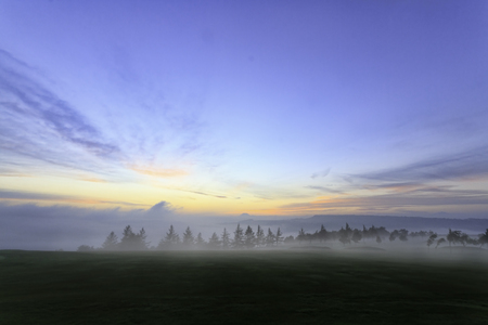 Sunset on a Golf course with mistの写真素材