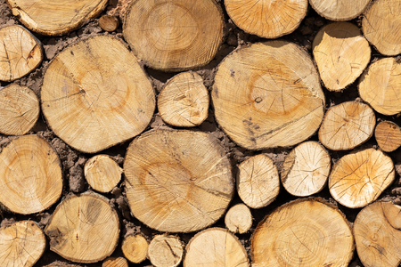 Log wall background texture closeupの写真素材