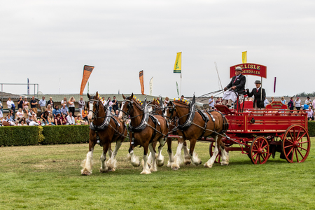 Harrogate, North Yorkshire, UK - July 12th, 2018: Heavy Horses Turnout displaying in the main arena at the Great Yorkshire Show on 12th July 2018 at Harrogate in North Yorkshire, Englandのeditorial素材