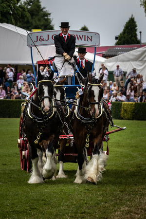 Harrogate, North Yorkshire, UK - July 12th, 2018: Heavy Horses Turnout displaying in the main arena at the Great Yorkshire Show on 12th July 2018 at Harrogate in North Yorkshire, Englandのeditorial素材