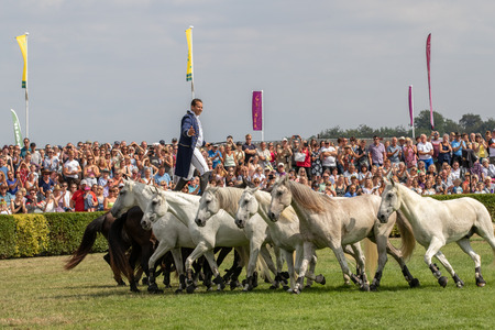 Harrogate, North Yorkshire, UK - July 12th, 2018: French horse trainer Lorenzo performing with his Horses at the Great Yorkshire Show on 12th July 2018 at Harrogate in North Yorkshire, Englandのeditorial素材