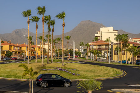 tenerife is the largest and most-populated island of the eight Canary Islands.