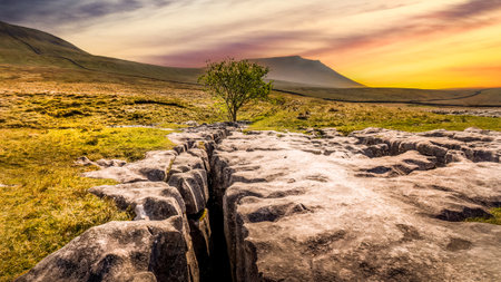 limestone pavement at sunset in the Yorkshire dalesの写真素材