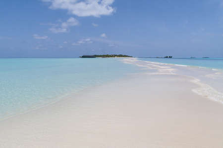 tropical maldives island with palm trees and water houses seen from a sandbank in turquoise waterの写真素材