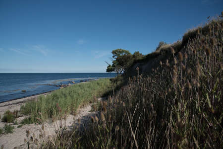 high angle shot of beach and high coast cliff at baltic sea beach on the island of Fehmarn, Germanyの写真素材