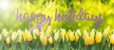yellow tulips and easter bunny on lush green background bokeh banner easter spring season with words happy holidaysの写真素材