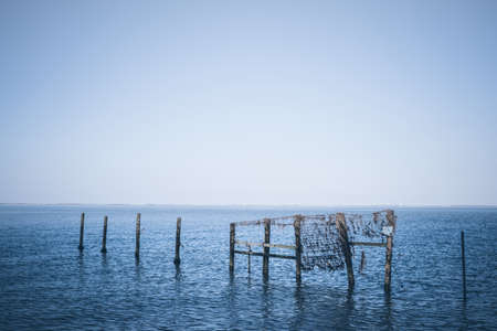 wooden posts poles in blue seaの写真素材