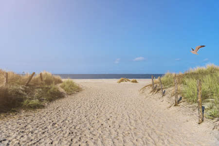 path between grass covered dunes leading to sandy beach on baltic sea coast in north Germany