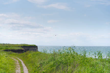 trail on baltic sea high coast with lush green vegetation under blue skyの写真素材