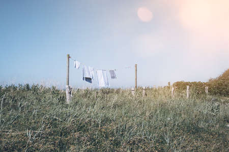 blue and white towels on clothesline in the midst of green bushes under clear blue skyの写真素材