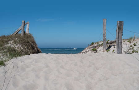 sand path through dunes leading to the baltic sea under clear blue summer skyの写真素材