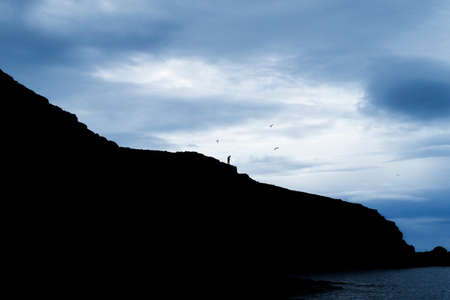 silhouette of person walking on edge of cliff above ocean in twilight surrounded by flying birdsの写真素材