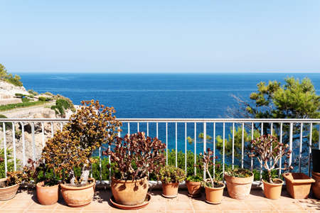 pottet plants on patio against blue mediterranean sea and skyの写真素材