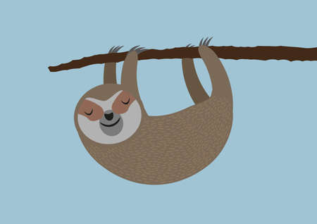 cute sleepy sloth hanging on tree branch vector illustrationの写真素材
