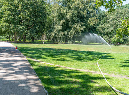 lawn sprinkler in public park on hot summer dayの写真素材