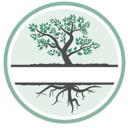 foliage tree with roots symbol or icon vector illustrationのイラスト素材