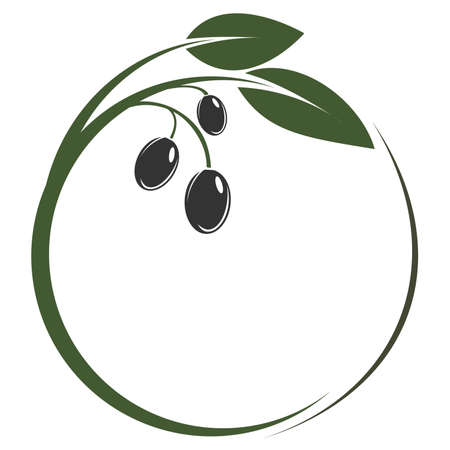 round green olive branch or symbol vector illustrationのイラスト素材