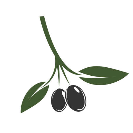 olive branch with leaves and black fruits vector illustrationのイラスト素材