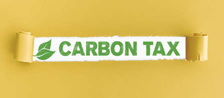torn paper with text CARBON TAX and green leaves in openingの写真素材