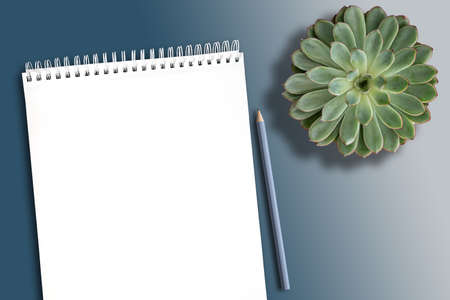 top view of empty white spiral notebook on clean desk with potted succulent plant and pencil