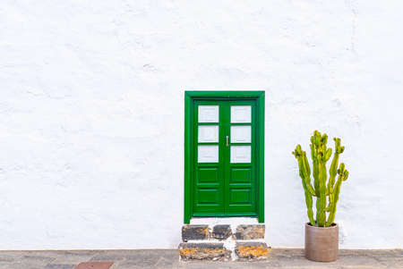 large potted cactus plant against white wall with green doorの写真素材